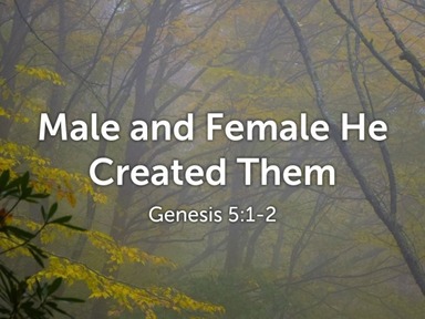 Male and Female He Created Them