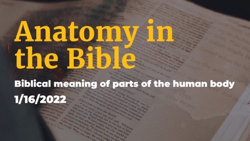 Anatomy in the Bible