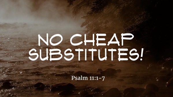 No Cheap Substitutes - Logos Sermons