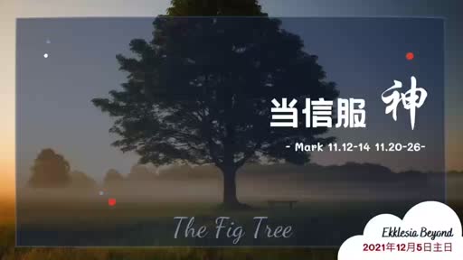 Mark 11.12-14 11.20-26 当信服神