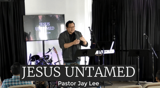 Jesus Untamed