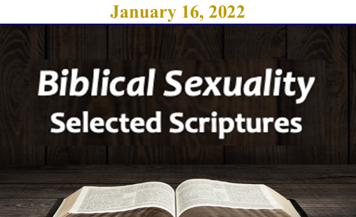 Biblical Sexuality Logos Sermons 