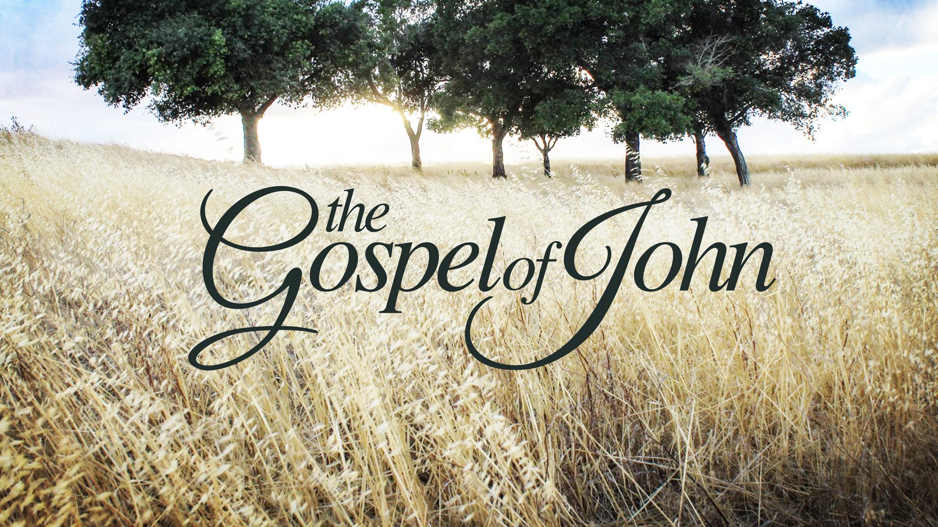 2021 11 21 Sermon John 11 38 44 Faithlife Sermons 2021-11-21-sermon-john-11-38-44-faithlife-sermons