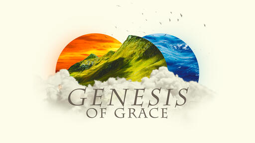 Genesis of Grace: but NOAH