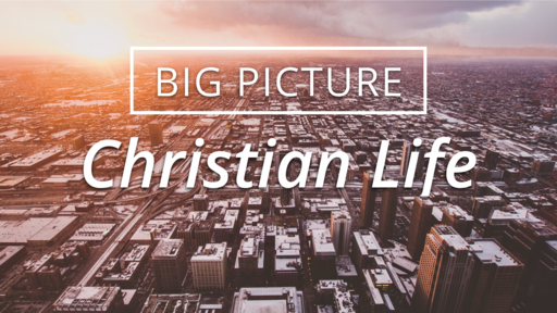 Big Picture Christian Life