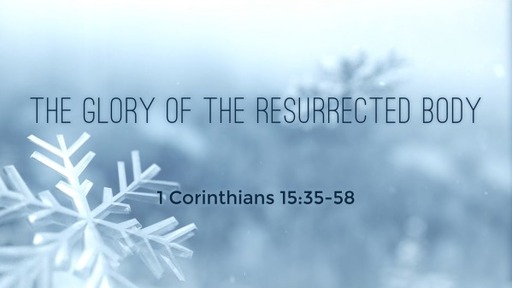 The Glory of the Resurrected Body