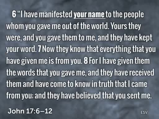 John 17:6-12