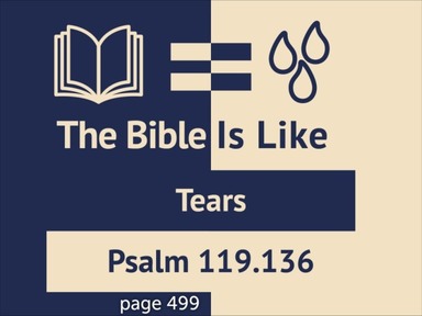 Journey in the Word: Tears