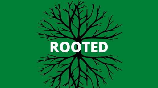 Rooted by Walking