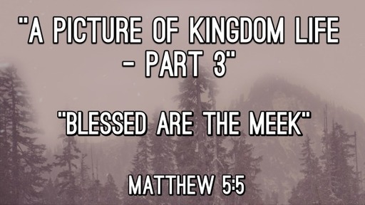 A Picture of Kingdom Life - Part 3
