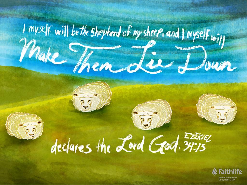I myself will be the shepherd of my sheep, and I myself will make them lie down, declares the Lord God.