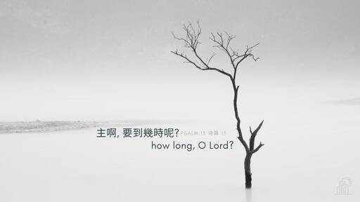How Long, O Lord? 主啊, 要到幾時呢?