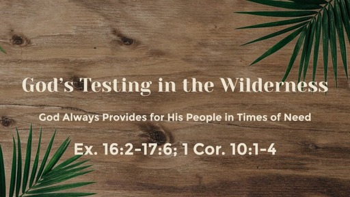 God's Testing in the Wilderness