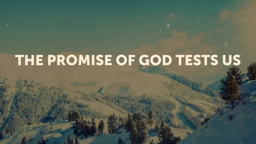 THE PROMISE OF GOD TESTS US (2)