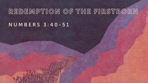 Redemption of the Firstborn