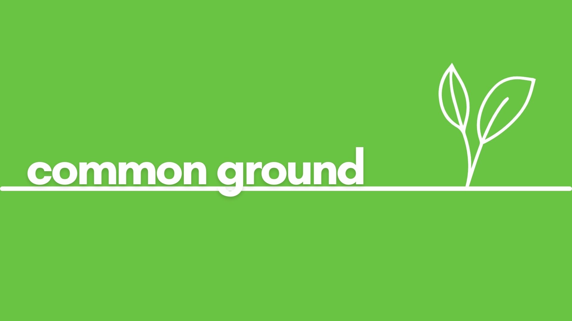 Video placeholder
