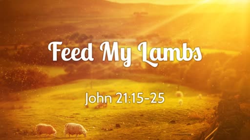 Feed My Lambs