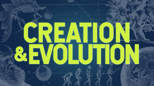 Creation And Evolution Program