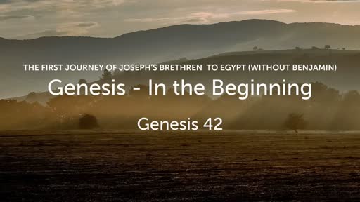 THE FIRST JOURNEY OF JOSEPH’S BRETHREN TO EGYPT (WITHOUT BENJAMIN)