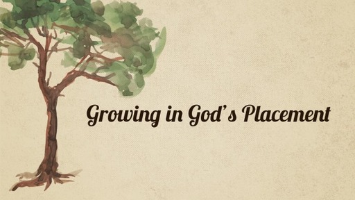 Growing in God's Placement