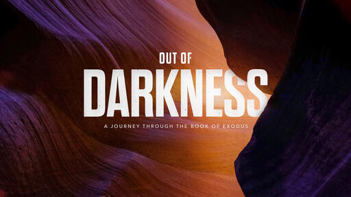 Out of Darkness: Exodus