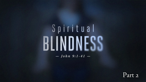 2022-02-06 PM (TM) - Life of Christ #132 - Spiritual Blindness,  Pt 2