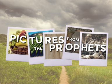 Pictures From The Prophets - A Vanishing Vine