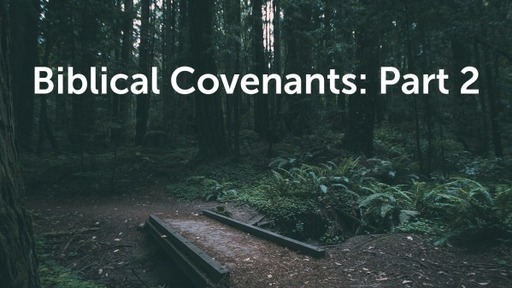 Biblical Covenants: Part 2