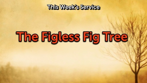 The Figless Fig Tree