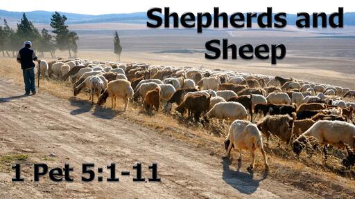 Shepherds and Sheep - Logos Sermons