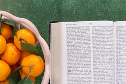 Bible Next to a Bowl of Oranges  image 2