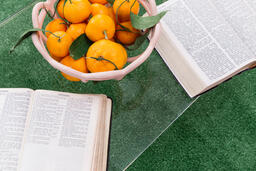 Bible Next to a Bowl of Oranges  image 4