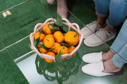Bible Next to a Bowl of Oranges  image 3