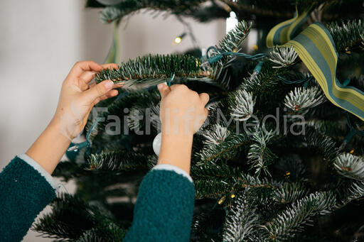 Young Boy Decorating the Christmas Tree