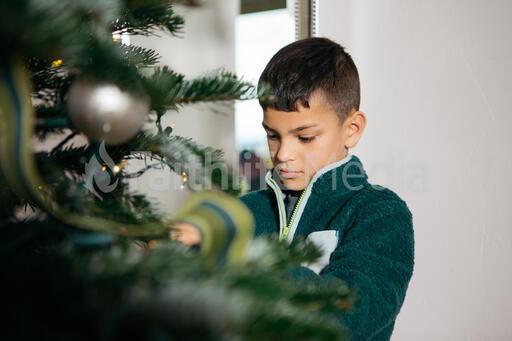 Young Boy Decorating the Christmas Tree