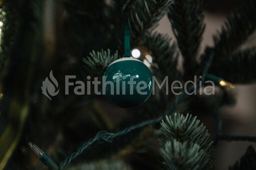 An Ornament Hanging on the Christmas Tree