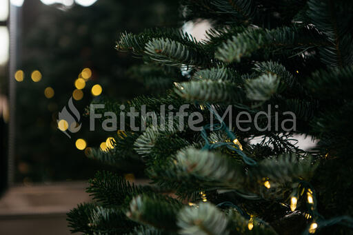 Christmas Tree with Lights