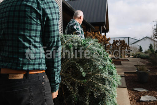 Two Men Carrying a Christmas Tree into a House