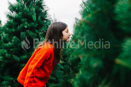 Young Girl Smelling a Christmas Tree