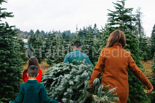 Young Family Carrying Christmas Tree