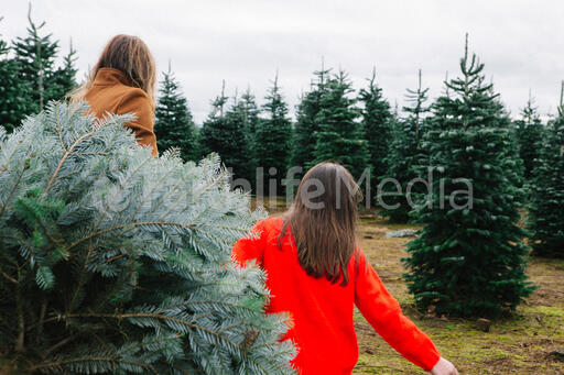 Mother and Daughter with a Freshly Cut Christmas Tree