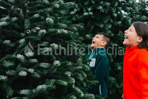 Kids at a Christmas Tree Farm