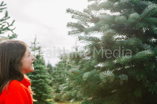 Young Girl at a Christmas Tree Farm