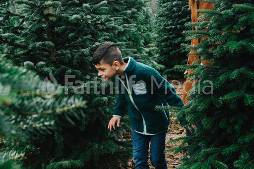 Young Boy Smelling a Christmas Tree