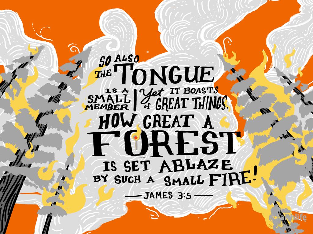 So also the tongue is a small member, yet it boasts of great things. How great a forest is set ablaze by such a small fire!