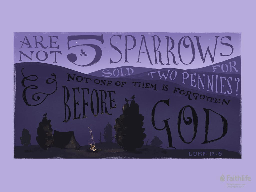 Are not five sparrows sold for two pennies? And not one of them is forgotten before God.