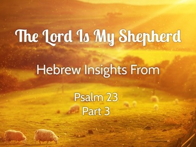 3.6.2022 Tim's Class