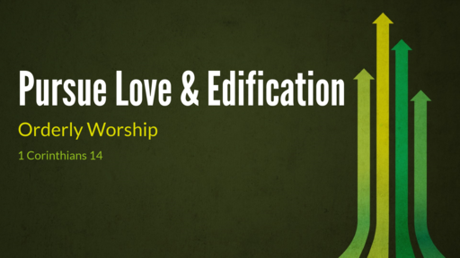 Pursue Love and Edification
