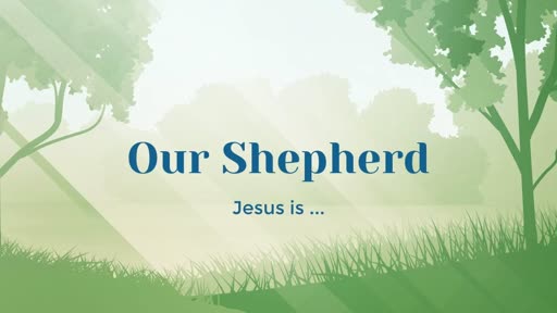 Our Shepherd