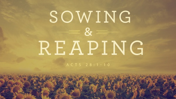 Sowing and Reaping 3/20/22 AM - Logos Sermons